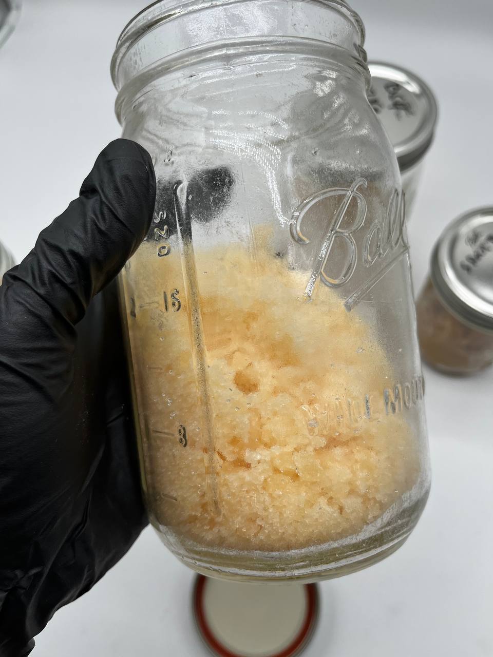 8d258609-31bb-4b78-b259-1ee061ba539b.jpg LICENSED CRUMBLE - Image 1