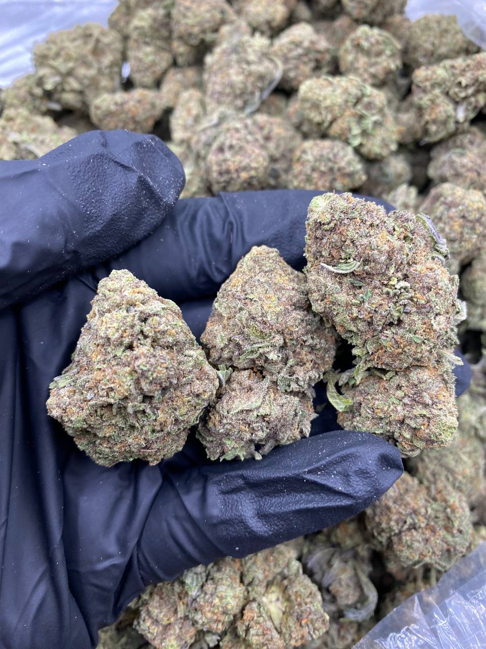 CEREAL-SWIRL.jpg CEREAL SWIRL - Image 1