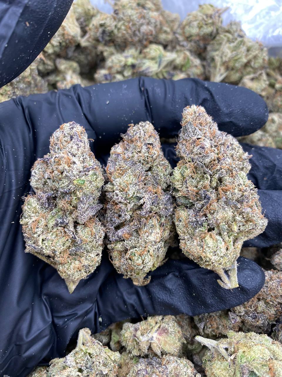 DONUT-SHOP.jpg DONUT SHOP - Image 1