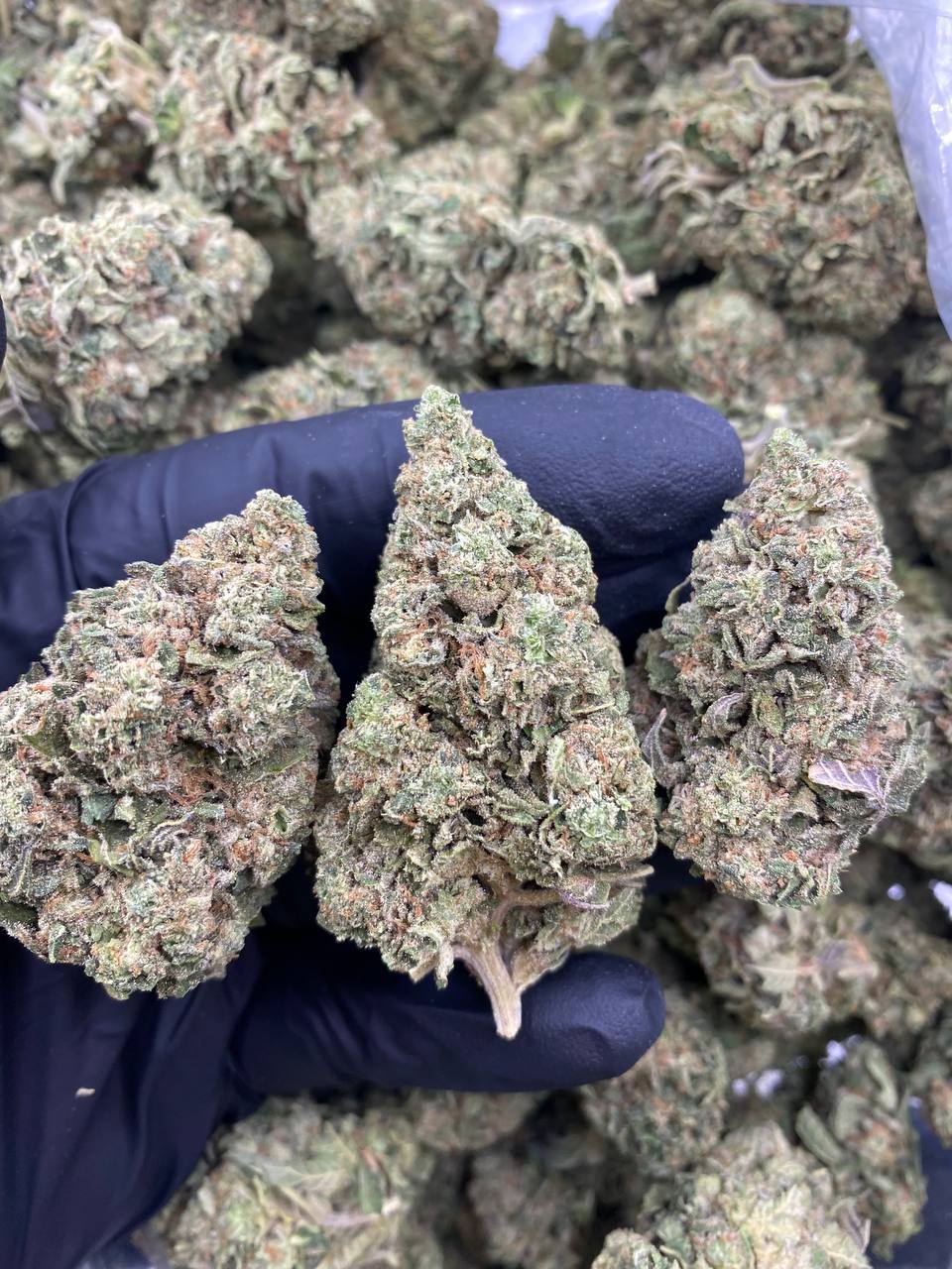 ICE-CREAM-DRIZZLE.jpg ICE CREAM DRIZZLE - Image 1