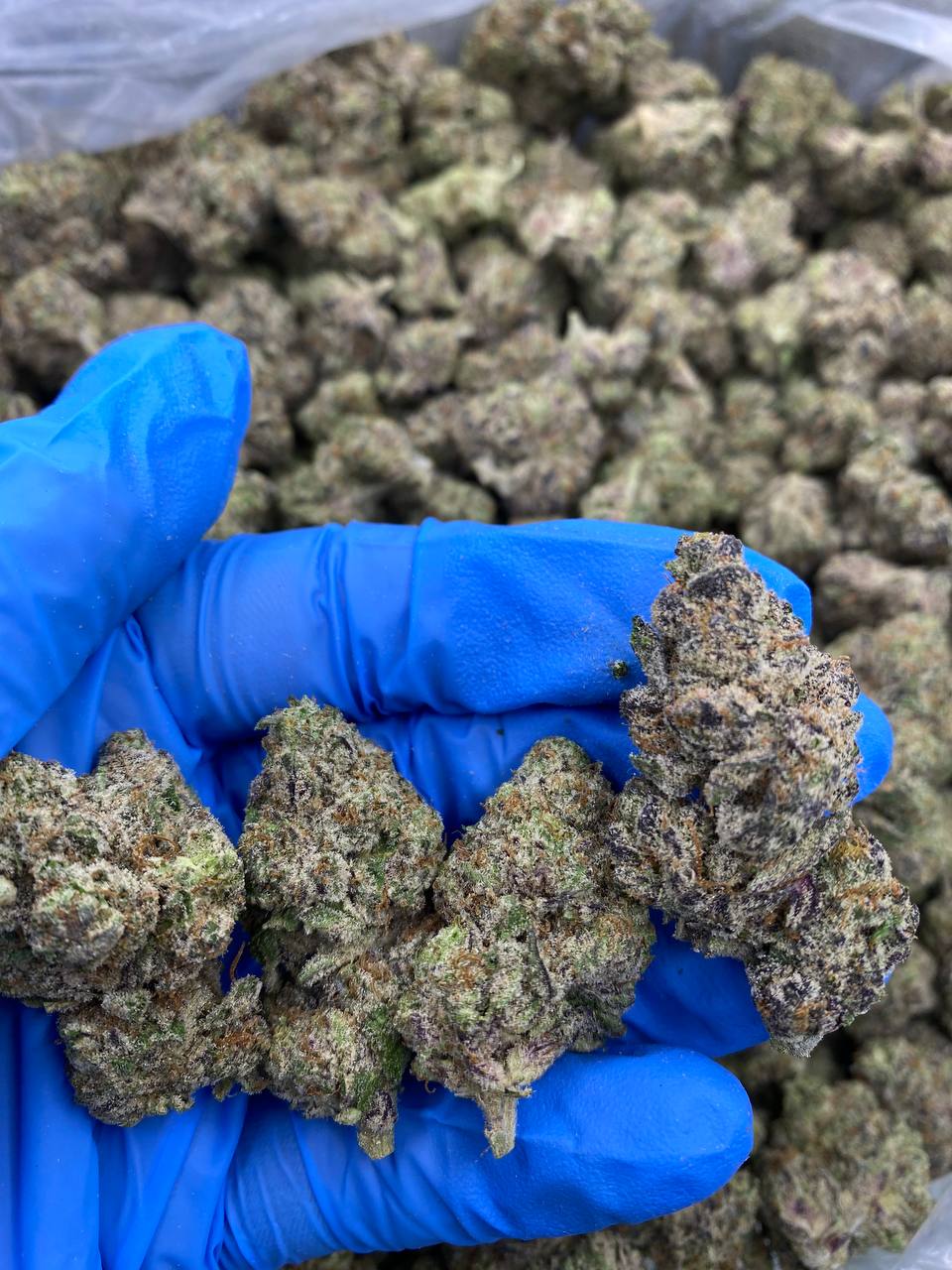 KEPT-SECRET.jpg KEPT SECRET - Image 1