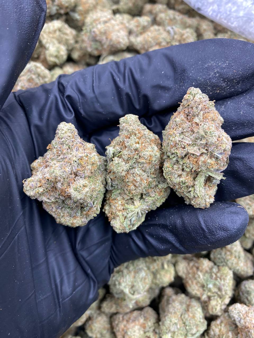 MAC-1.jpg MAC 1 - Image 1