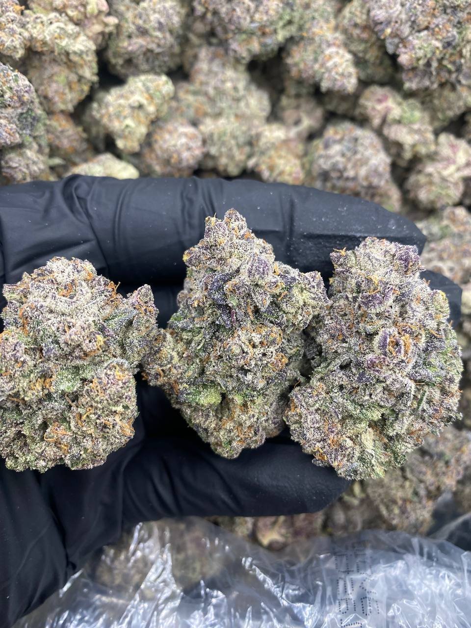 RS11000.jpg RS 11000 - Image 1