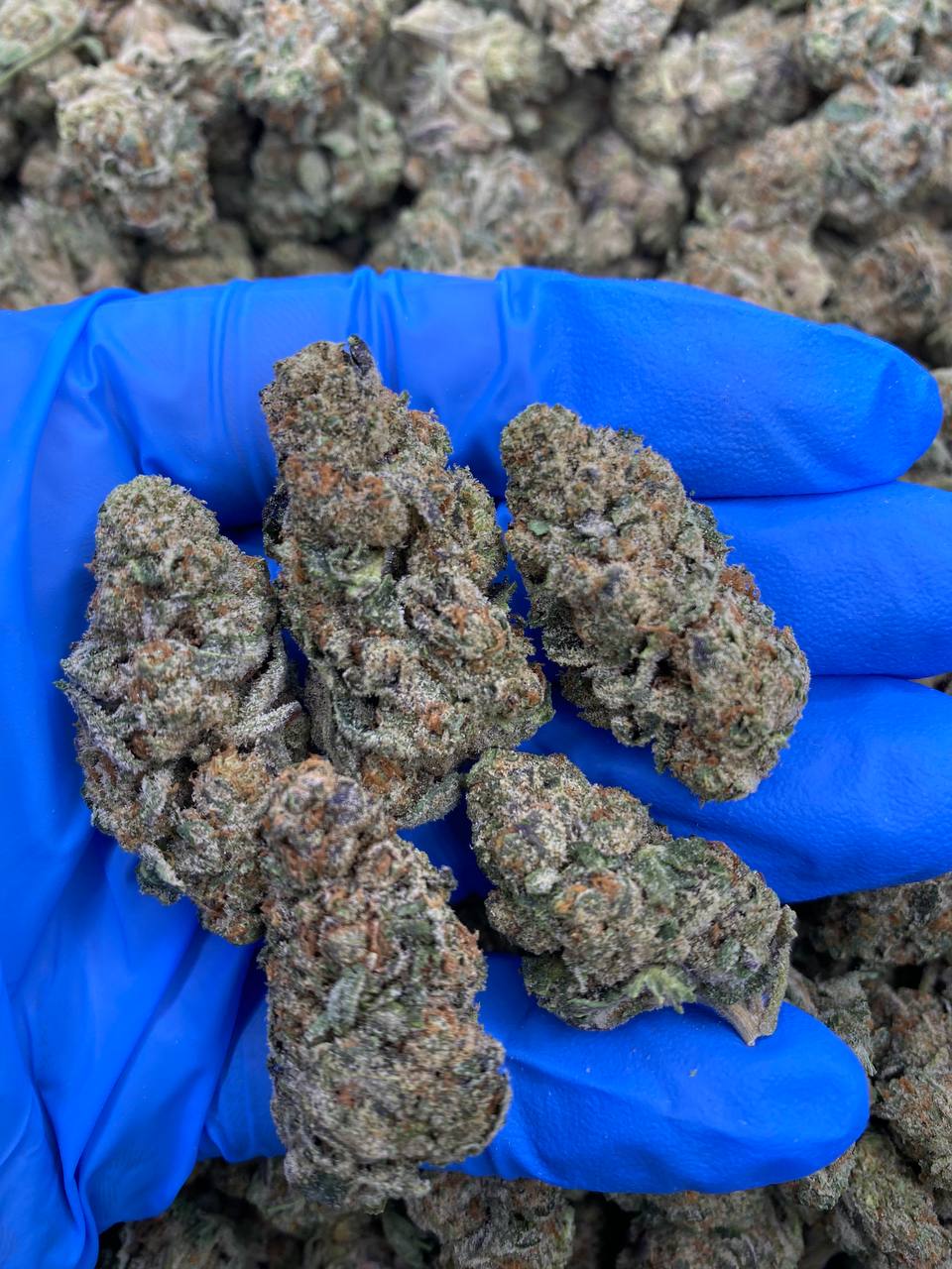 SPACE-ROCKS.jpg SPACE ROCKS - Image 1