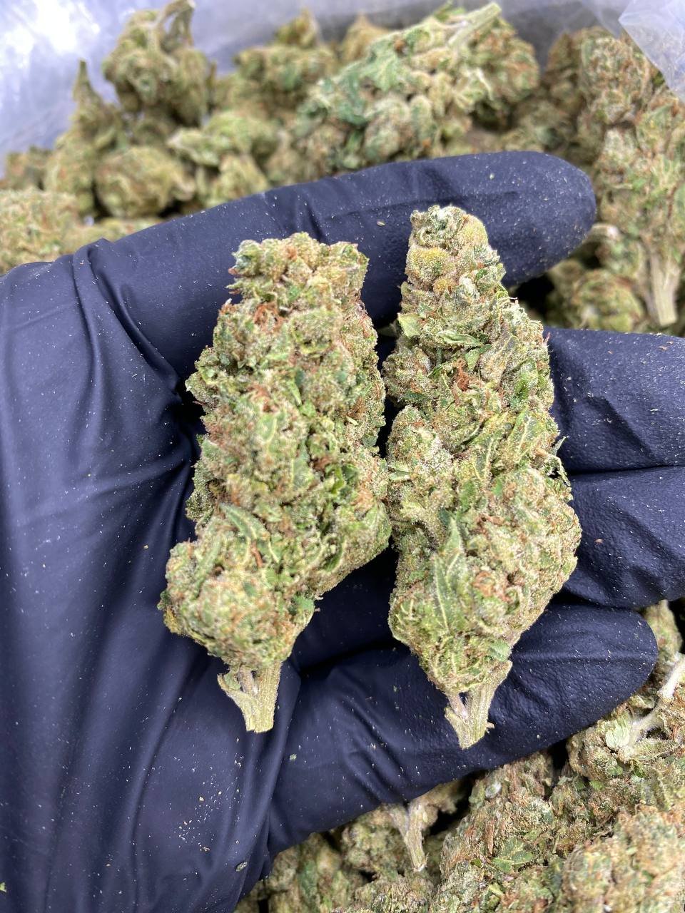 SUPER-POP.jpg SUPER POP - Image 1