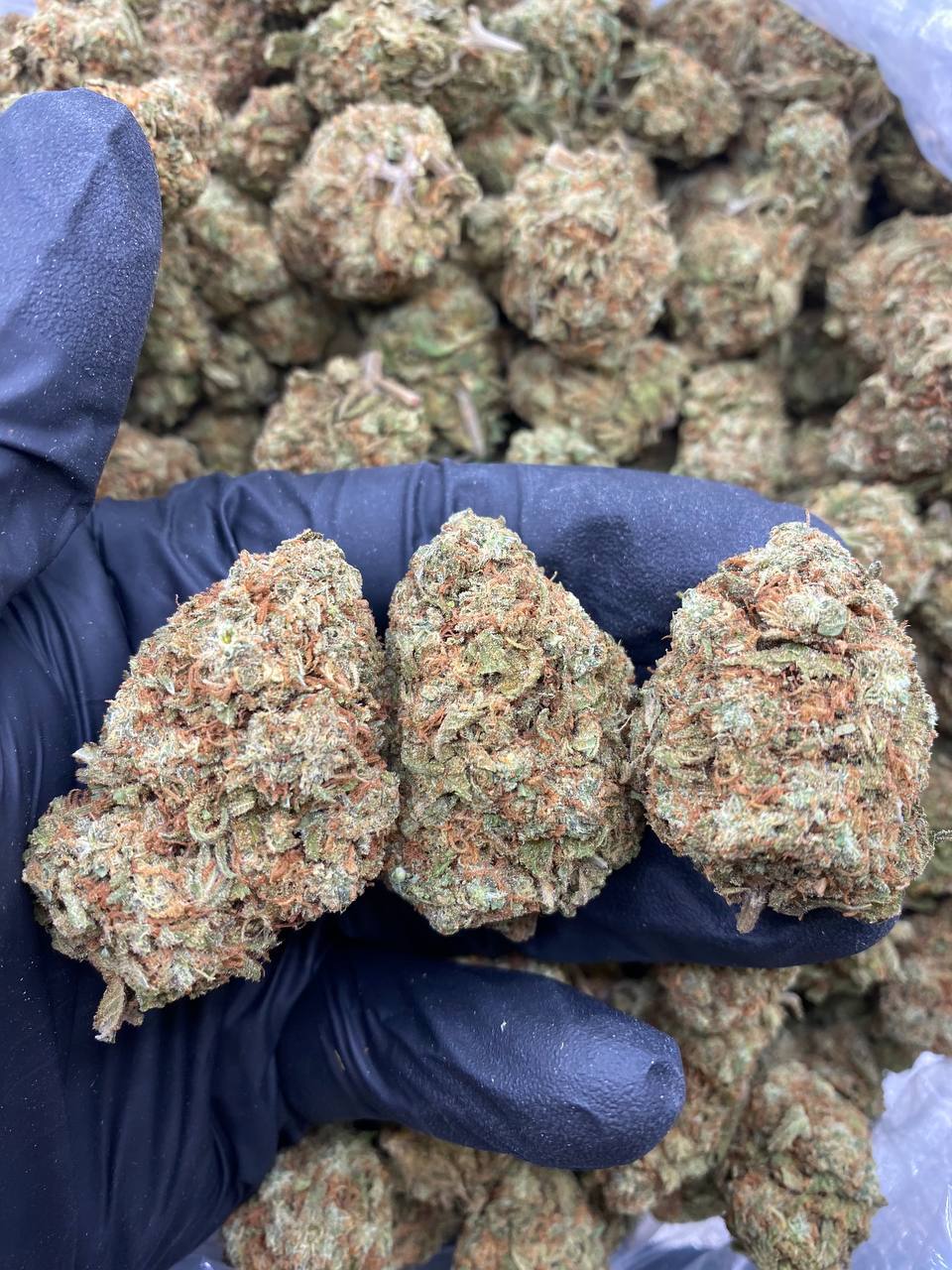 TRAINWRECK.jpg TRAINWRECK - Image 1